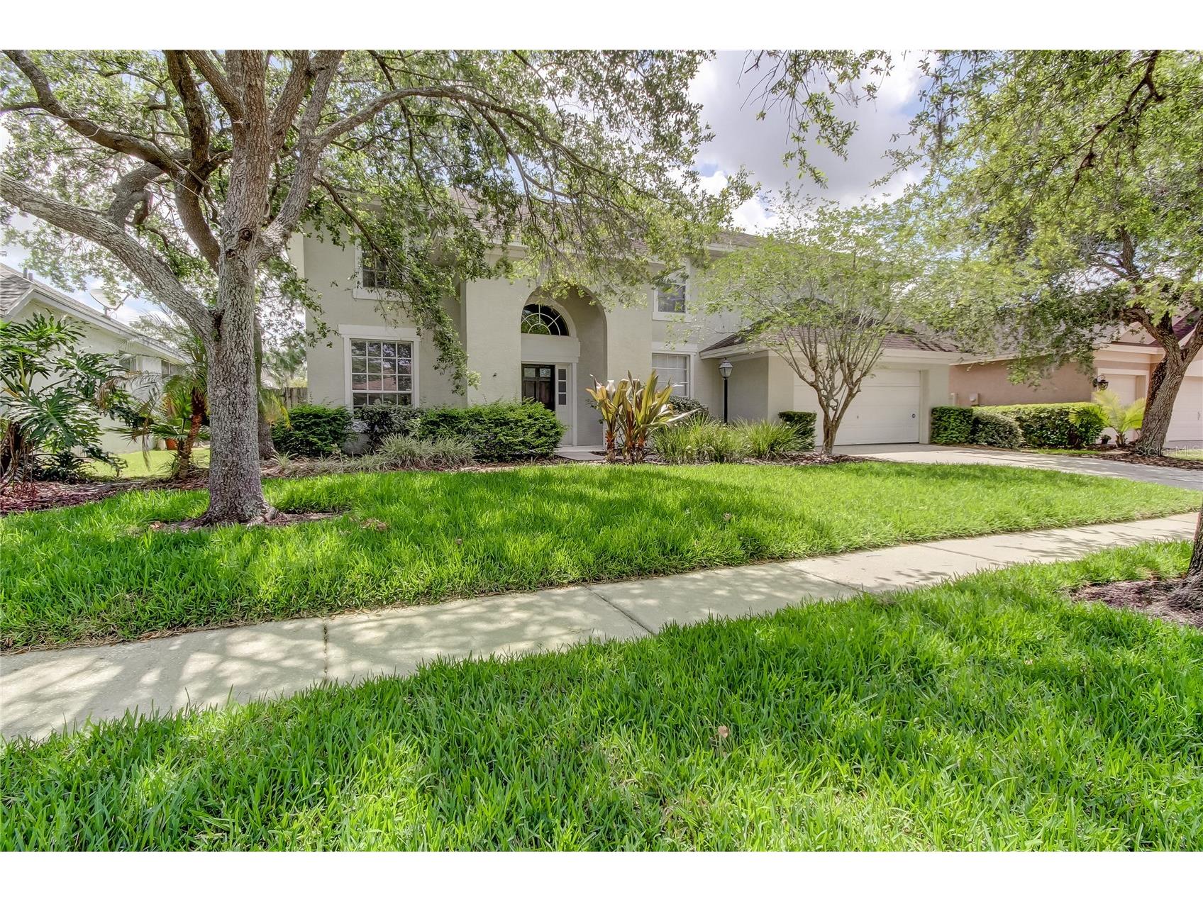9401 Woodbay Drive Tampa FL 33626 O6394550 image3