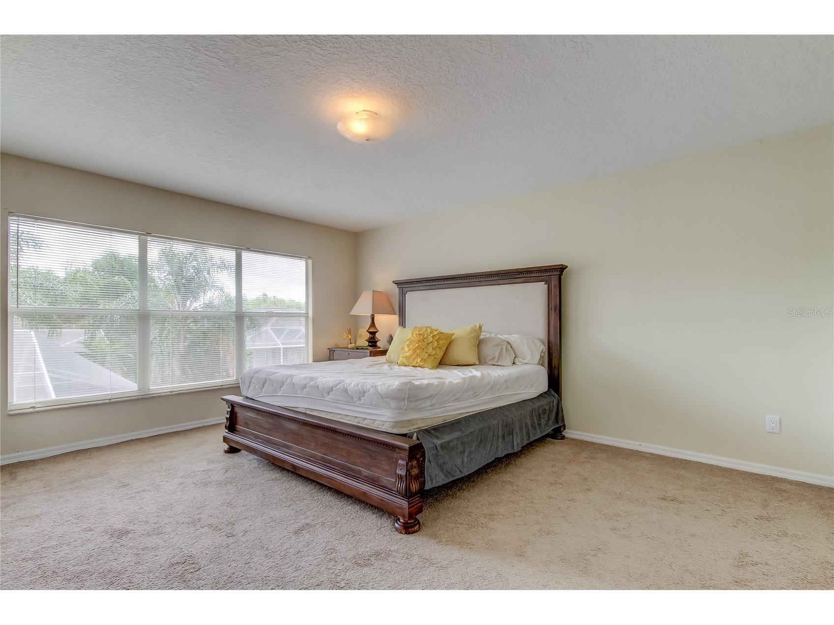 9401 Woodbay Drive Tampa FL 33626 O6394550 image30
