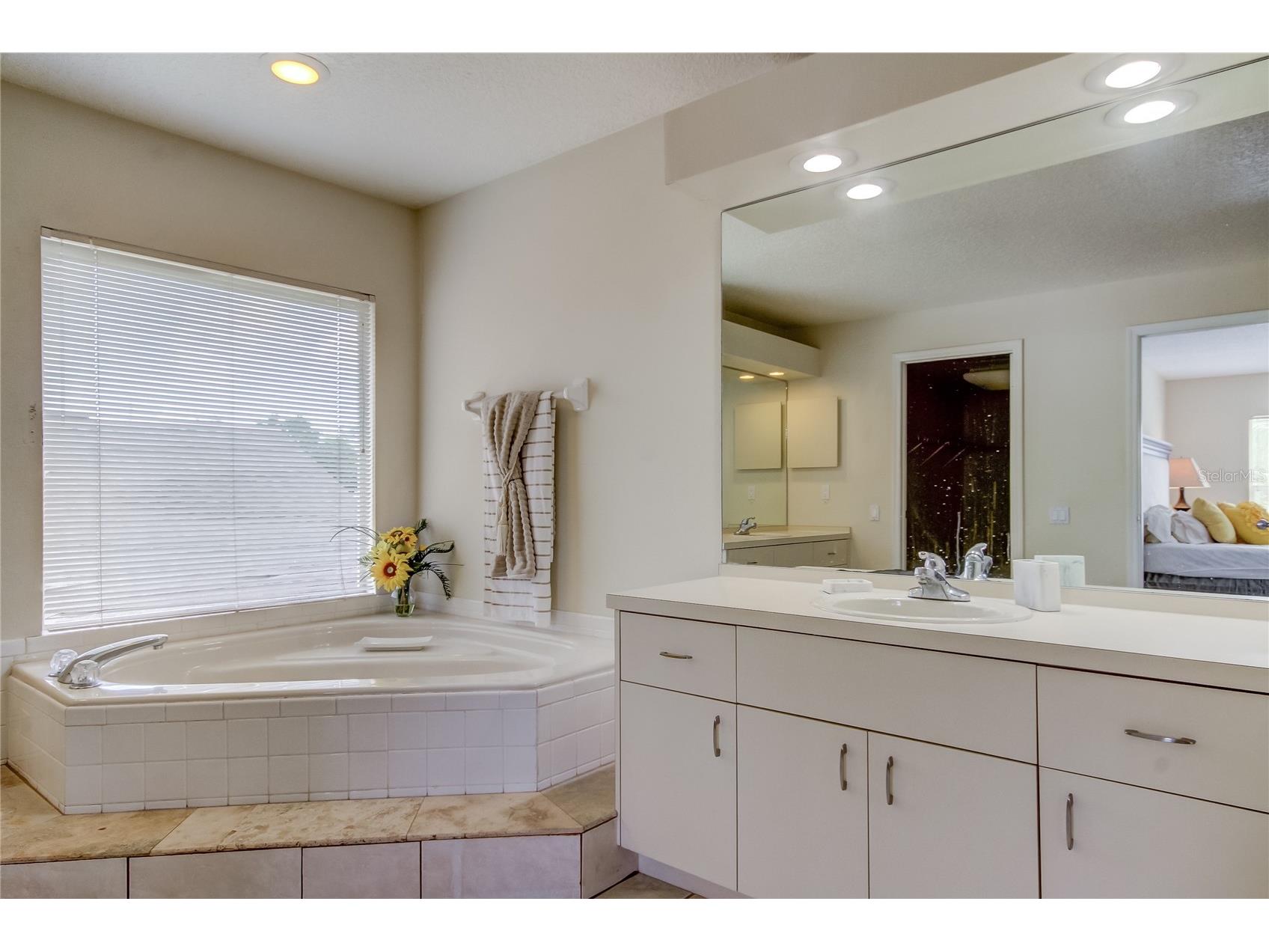 9401 Woodbay Drive Tampa FL 33626 O6394550 image32