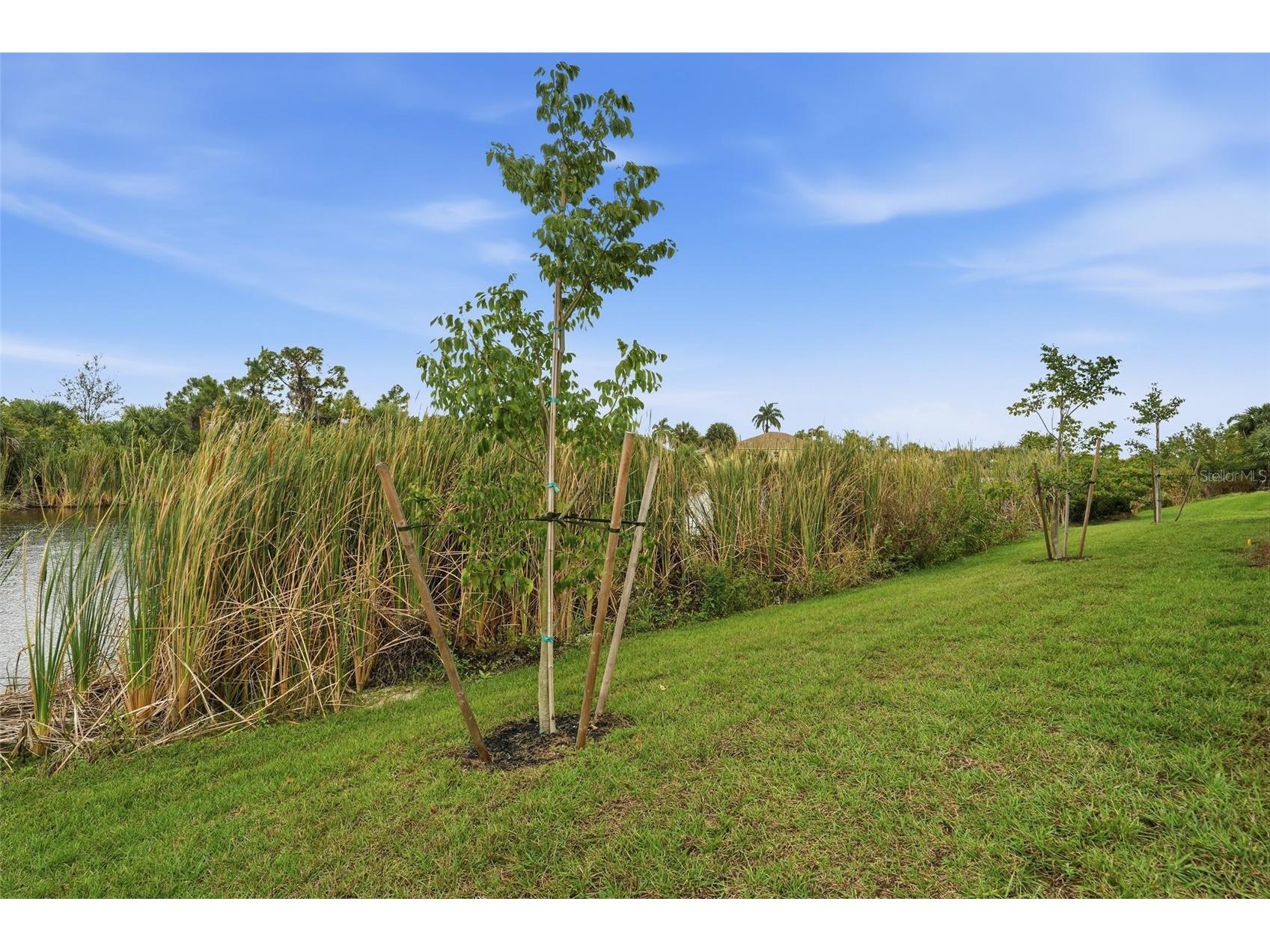 9402 Arrid Circle Port Charlotte FL 33981 - MODESTO WATERWAY O6370942 image53