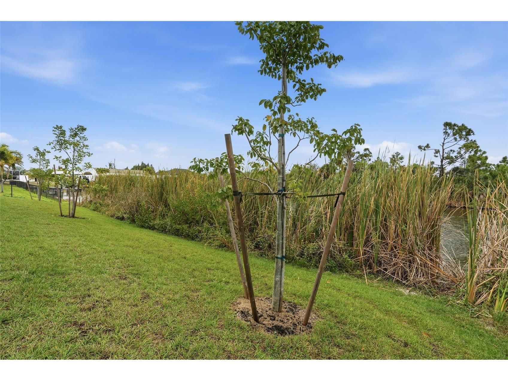 9402 Arrid Circle Port Charlotte FL 33981 - MODESTO WATERWAY O6370942 image54
