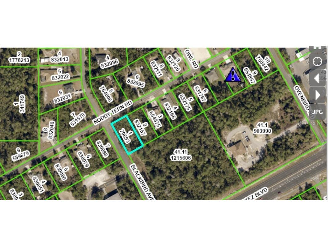 9402 Noddy Tern Road Weeki Wachee FL 34613 W7847221 image1