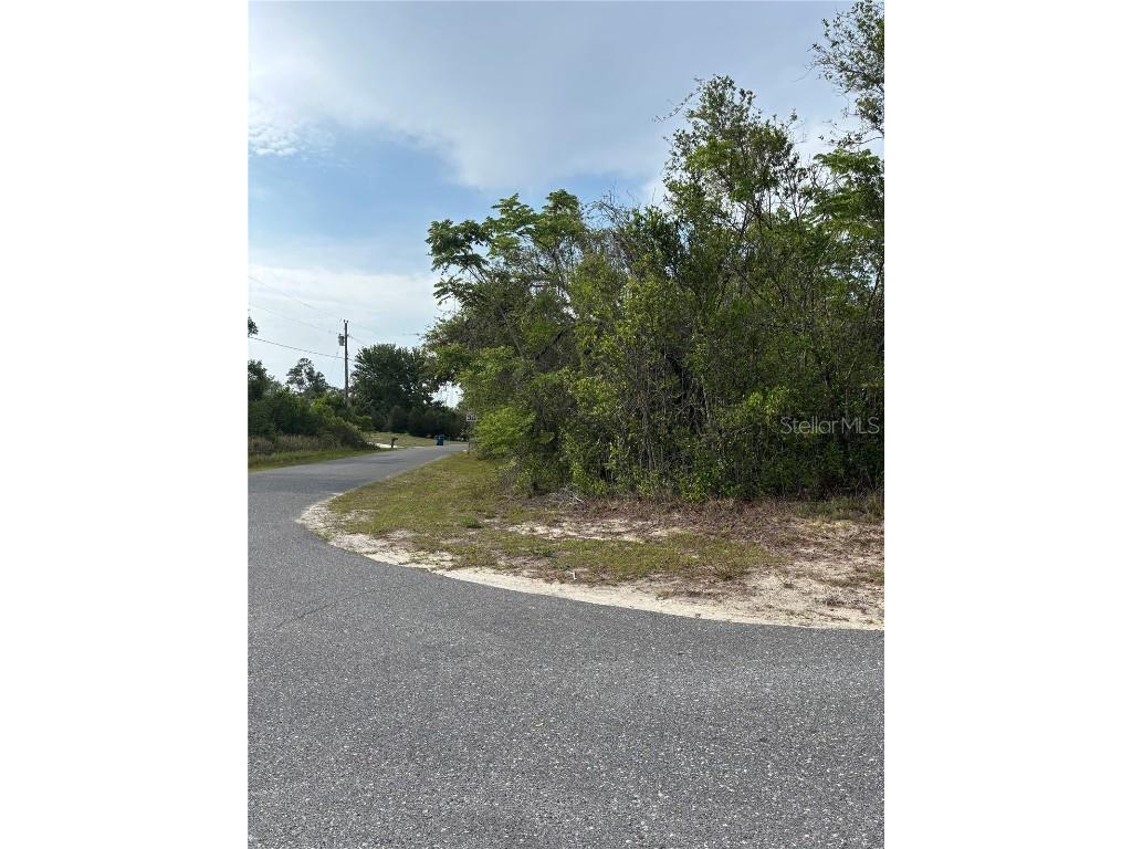 9402 Noddy Tern Road Weeki Wachee FL 34613 W7875435 image1