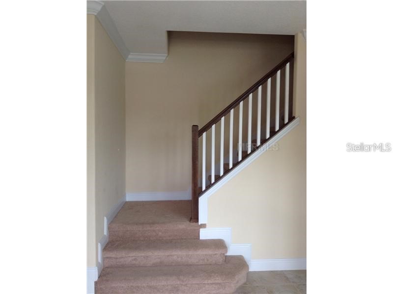 9403 Tawnyberry Street Orlando FL 32832 O6324199 image6