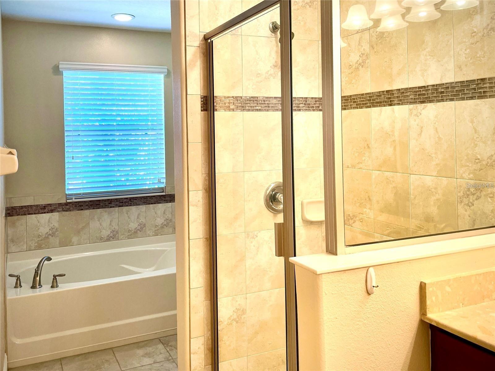 9403 Tawnyberry Street Orlando FL 32832 O6382494 image14