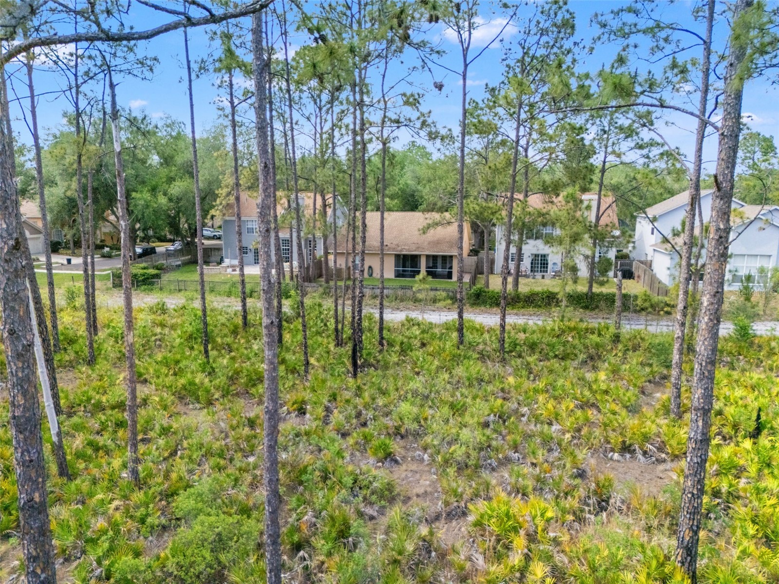 9403 Willow Cove Court Tampa FL 33647 TB8499660 image59