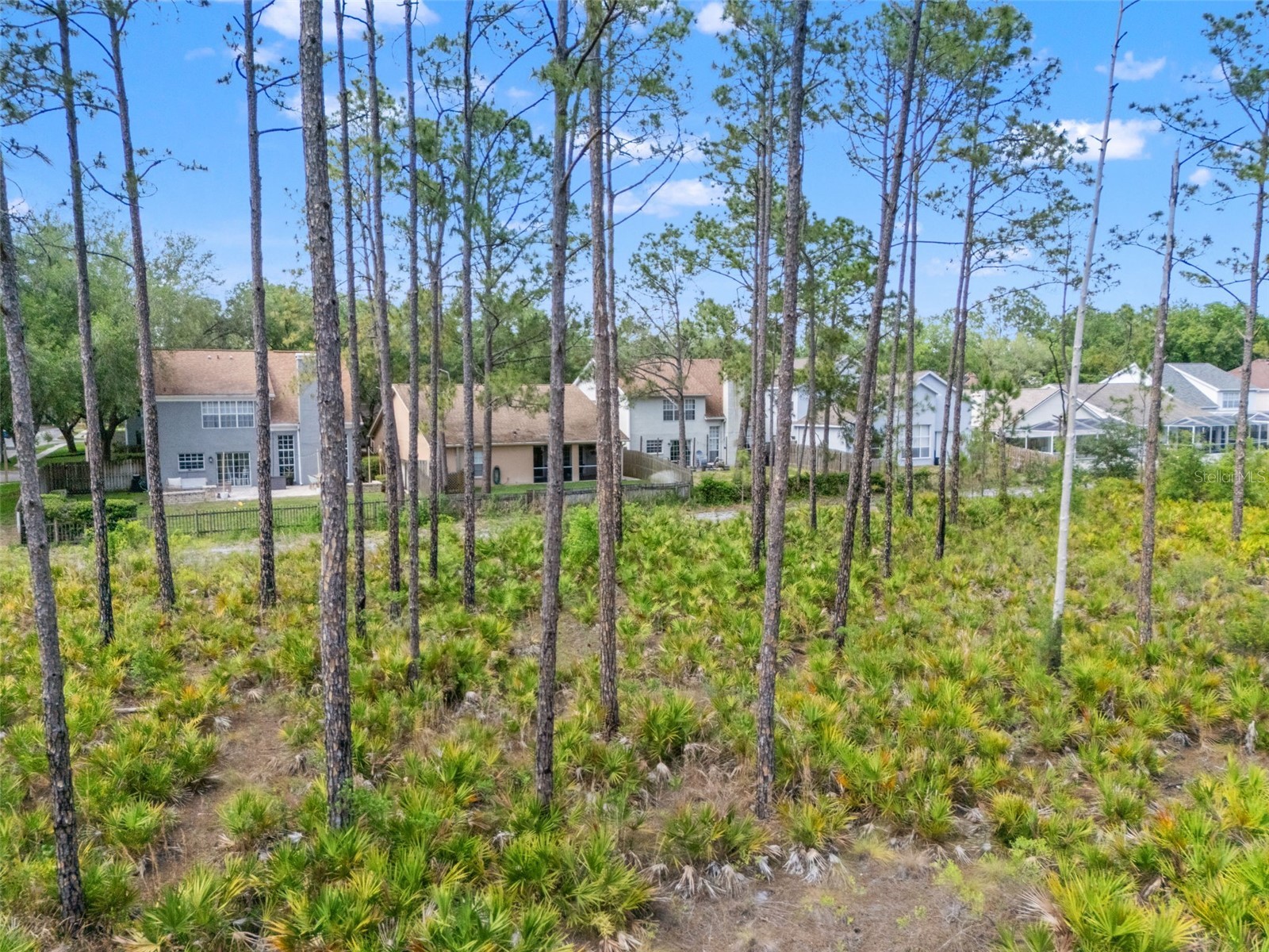 9403 Willow Cove Court Tampa FL 33647 TB8499660 image60