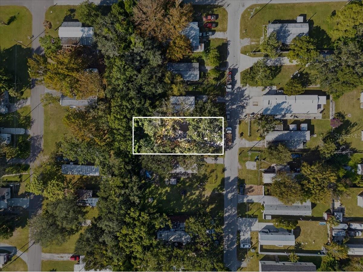 9404 Loras Street New Port Richey FL 34654 P4938470 image11