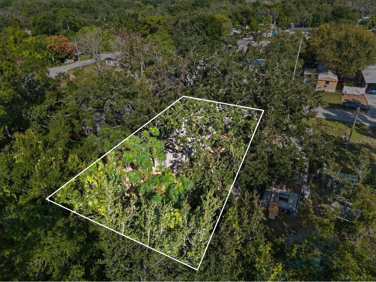 9404 Loras Street New Port Richey FL 34654 P4938470 image25