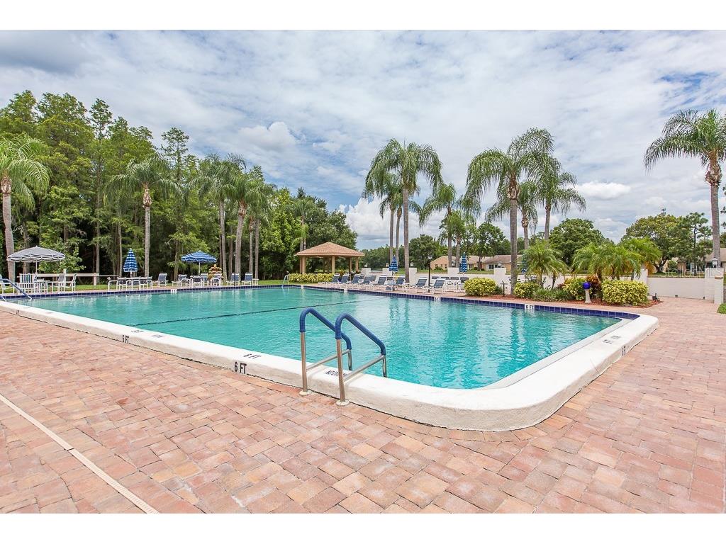 9404 Rockbridge Circle New Port Richey FL 34655 W7881223 image24