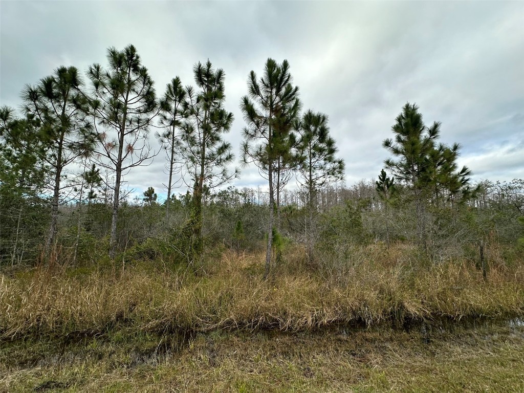 9405 Helena Drive Saint Cloud FL 34773 O6168253 image1