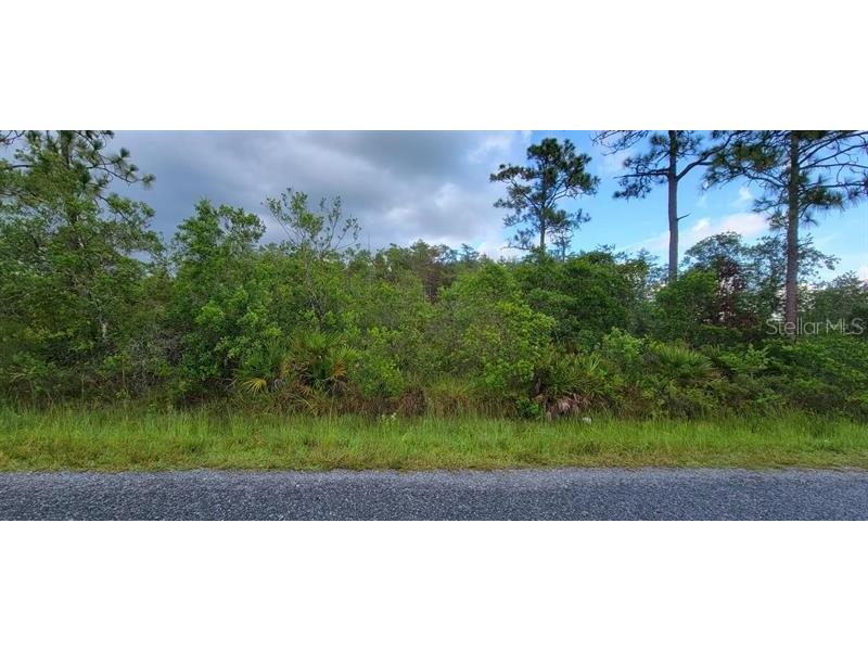 9405 Helena Drive Saint Cloud FL 34773 O6272470 image1