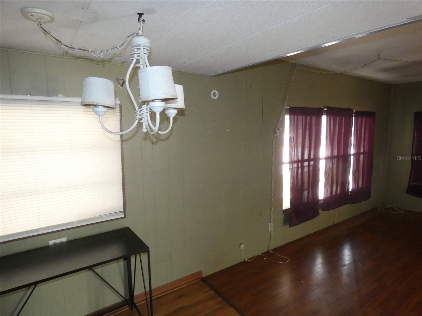 9405 Loras Street New Port Richey FL 34654 W7885033 image11
