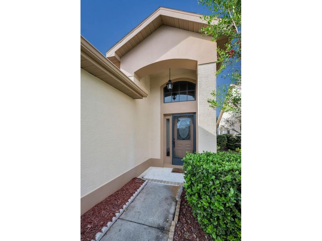 9405 Palm Haven Court New Port Richey FL 34655 W7881204 image10