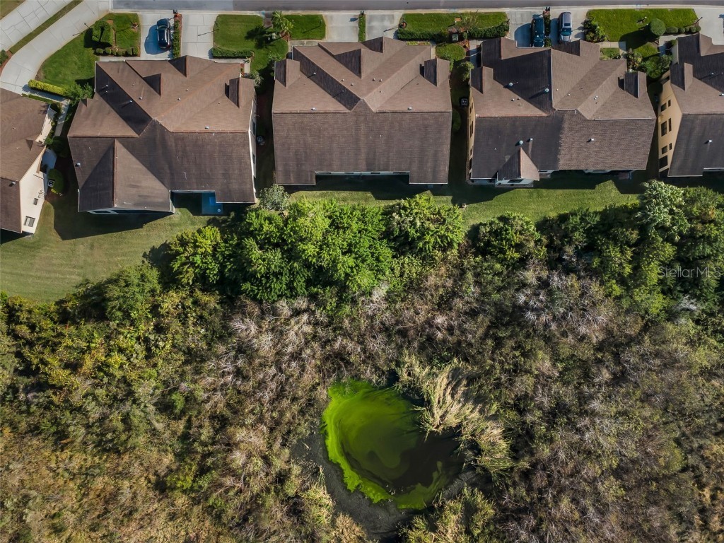 9405 Palm Haven Court New Port Richey FL 34655 W7881204 image43