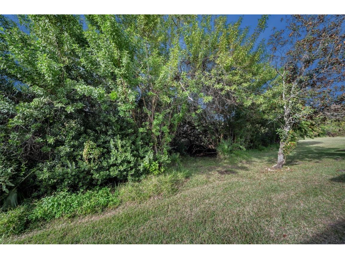 9405 Palm Haven Court New Port Richey FL 34655 W7881204 image48