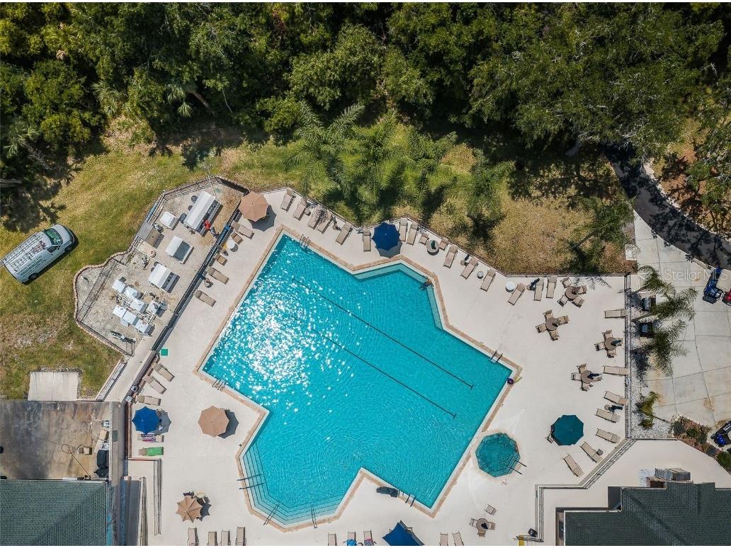 9405 Palm Haven Court New Port Richey FL 34655 W7881204 image64