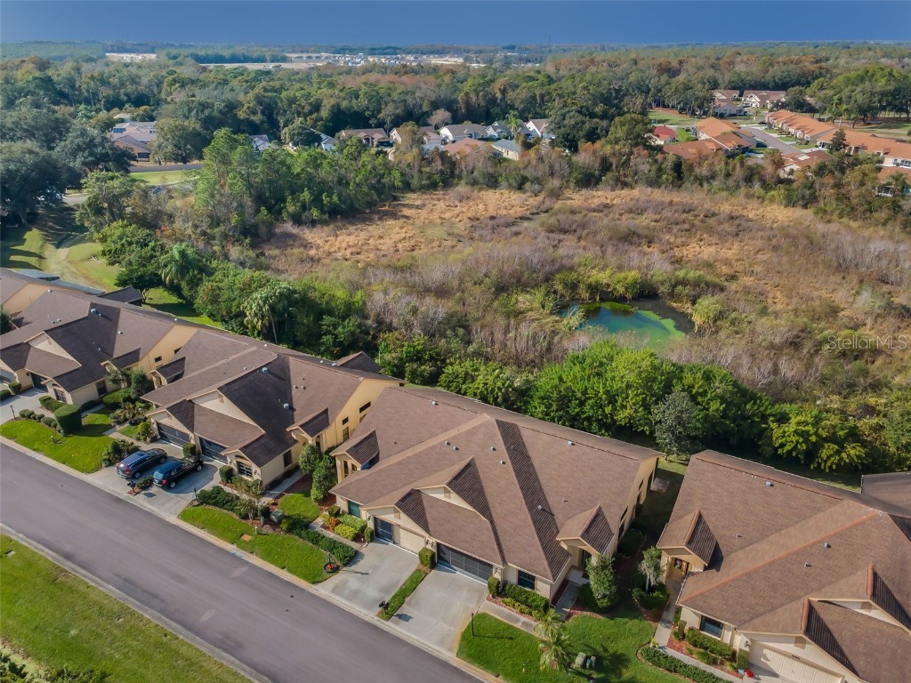 9405 Palm Haven Court New Port Richey FL 34655 W7881204 image7