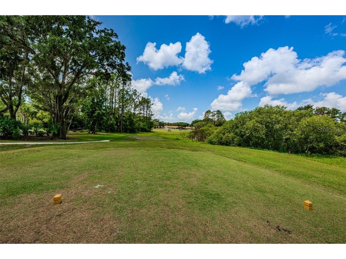 9405 Palm Haven Court New Port Richey FL 34655 W7881204 image73