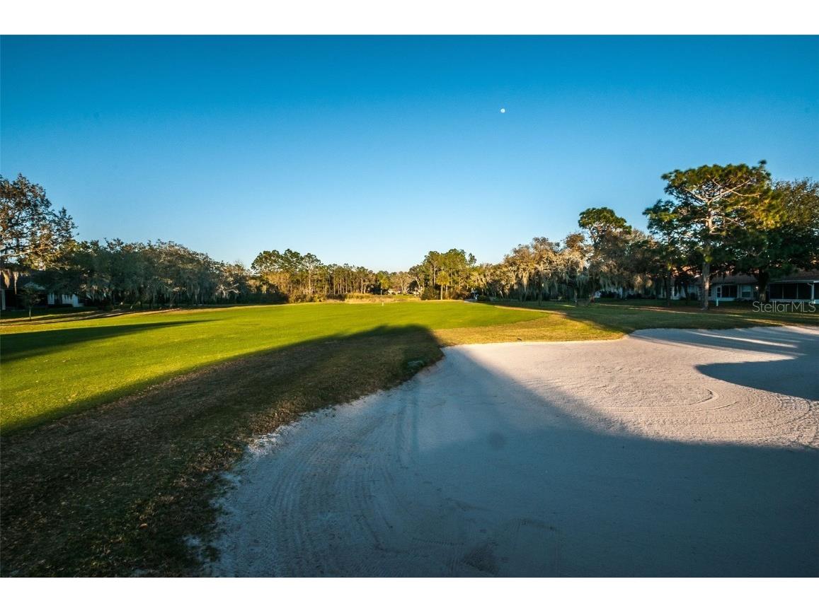 9405 Palm Haven Court New Port Richey FL 34655 W7881204 image74