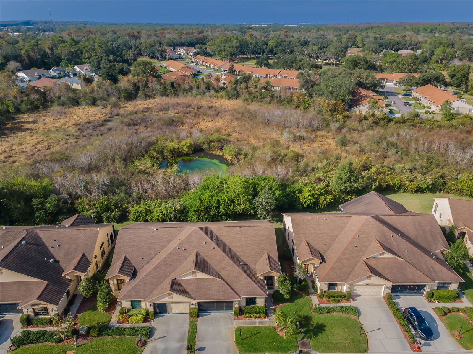 9405 Palm Haven Court New Port Richey FL 34655 W7881809 image3