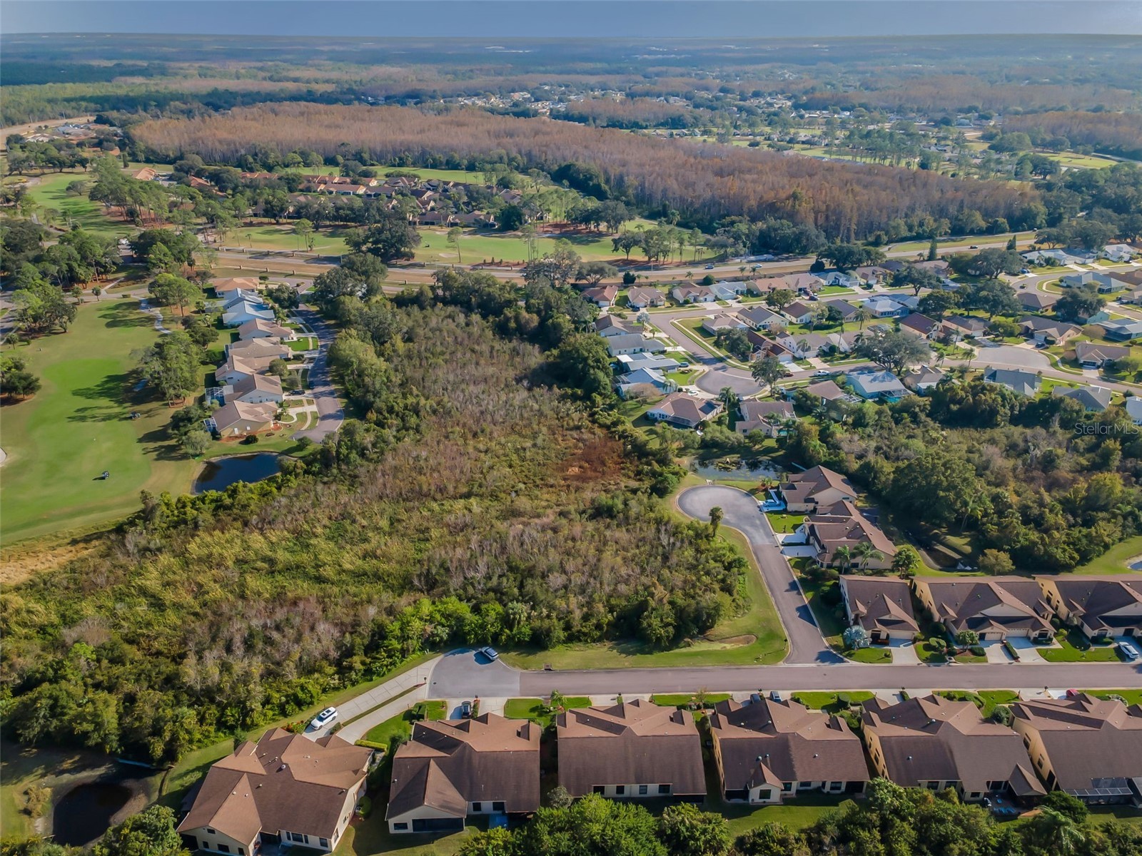 9405 Palm Haven Court New Port Richey FL 34655 W7881809 image37