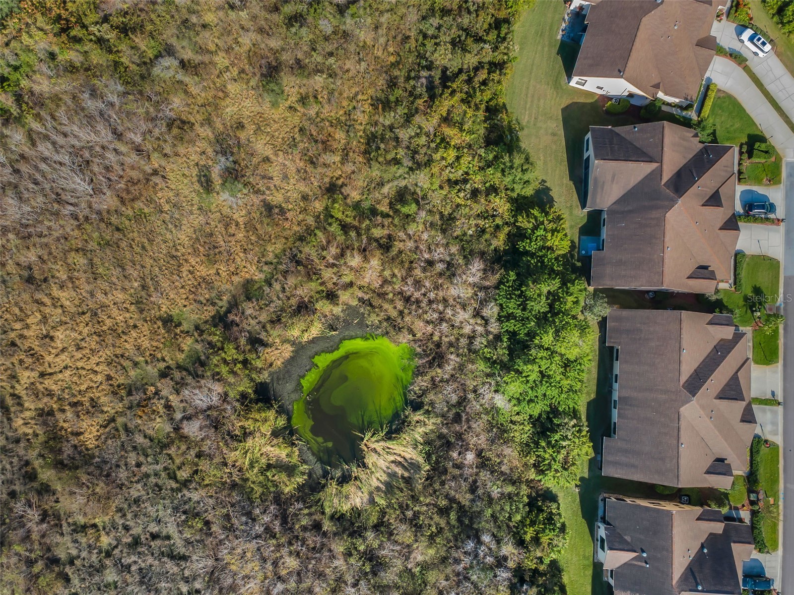 9405 Palm Haven Court New Port Richey FL 34655 W7881809 image38