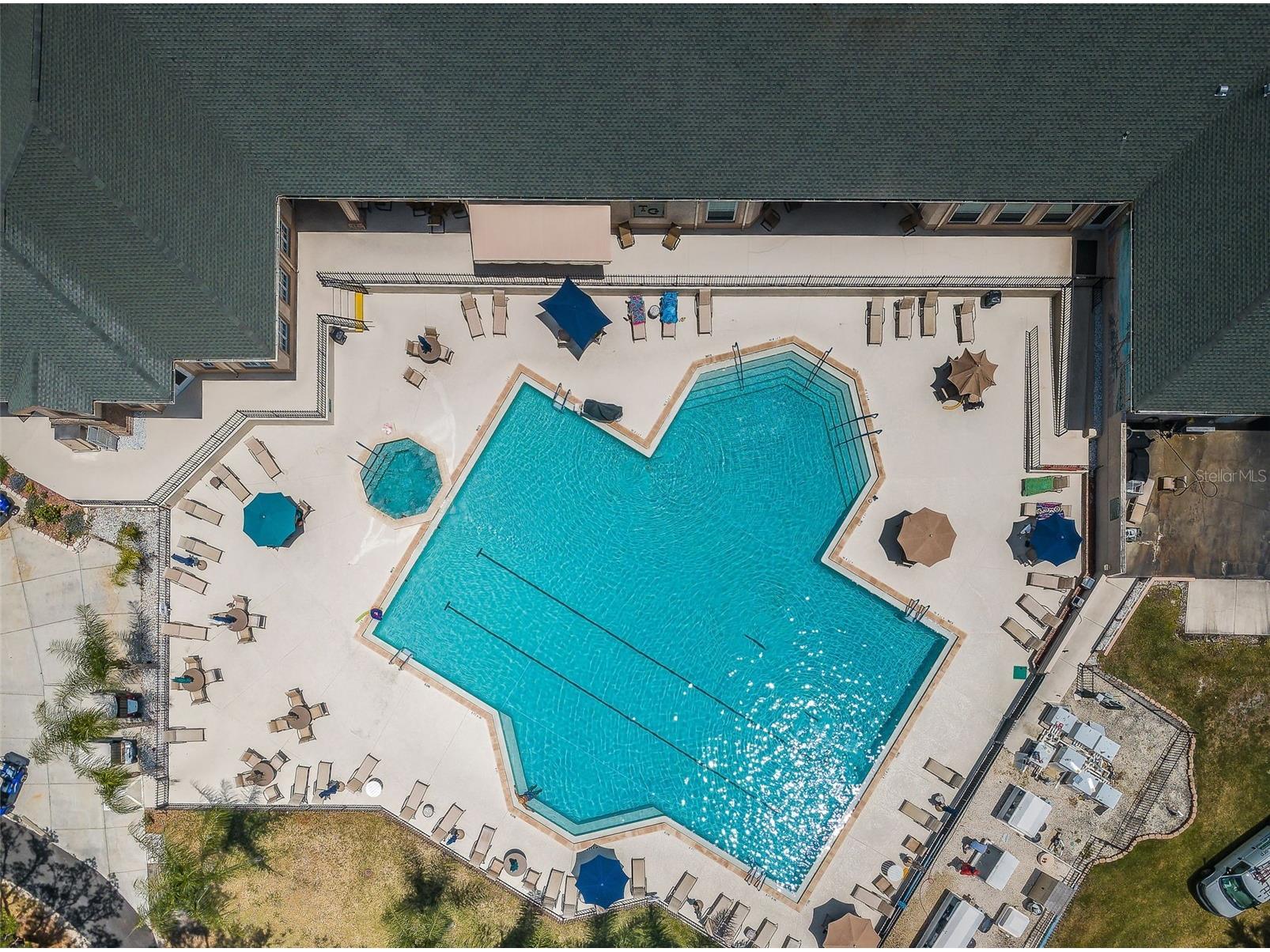 9405 Palm Haven Court New Port Richey FL 34655 W7881809 image45