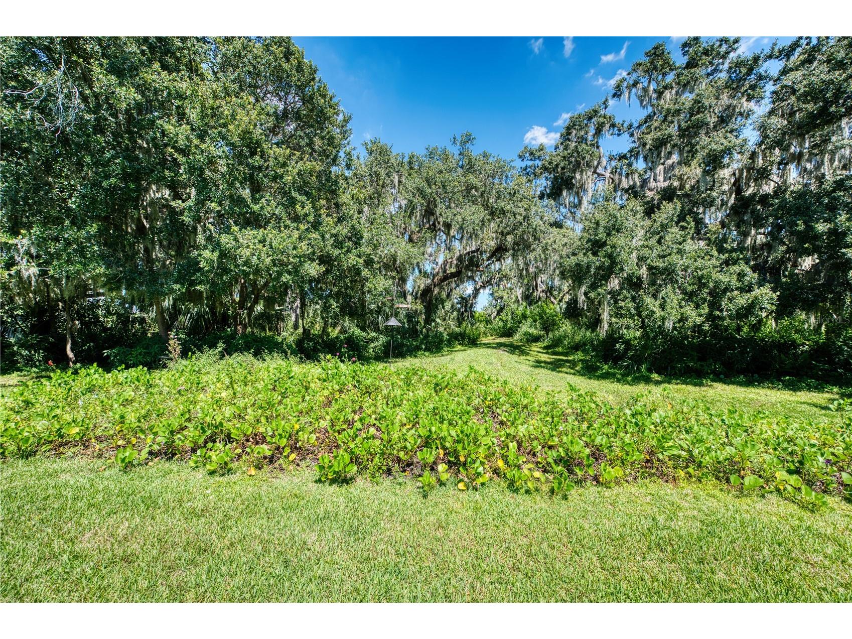 9406 43rd Court E Parrish FL 34219 A4700728 image9