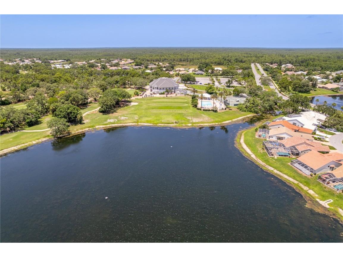 9406 Burnam Drive Weeki Wachee FL 34613 W7880668 image46