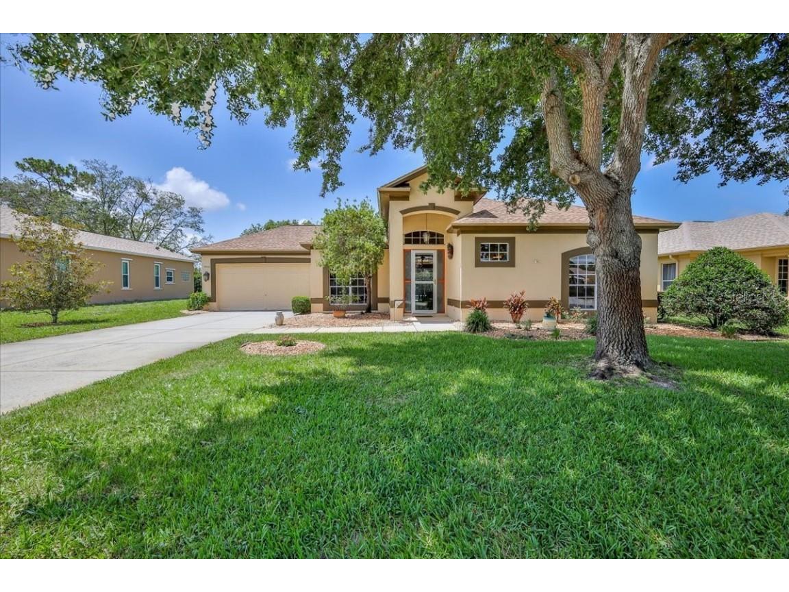 9406 Burnam Drive Weeki Wachee FL 34613 W7880668 image6