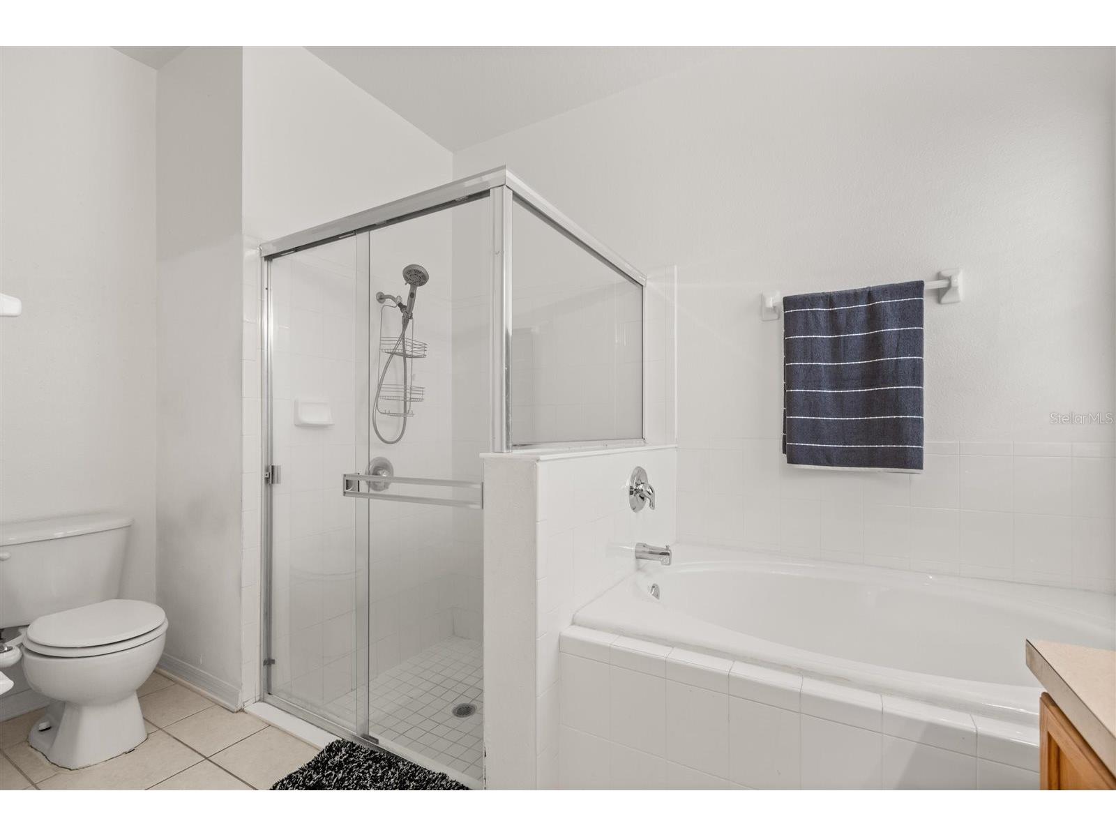 9406 Candice Court Orlando FL 32832 O6404622 image26