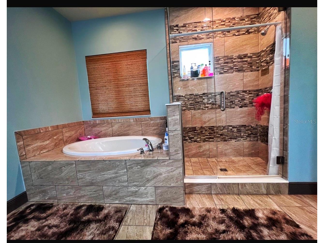 9406 Dugard Court Orlando FL 32827 S5148034 image14