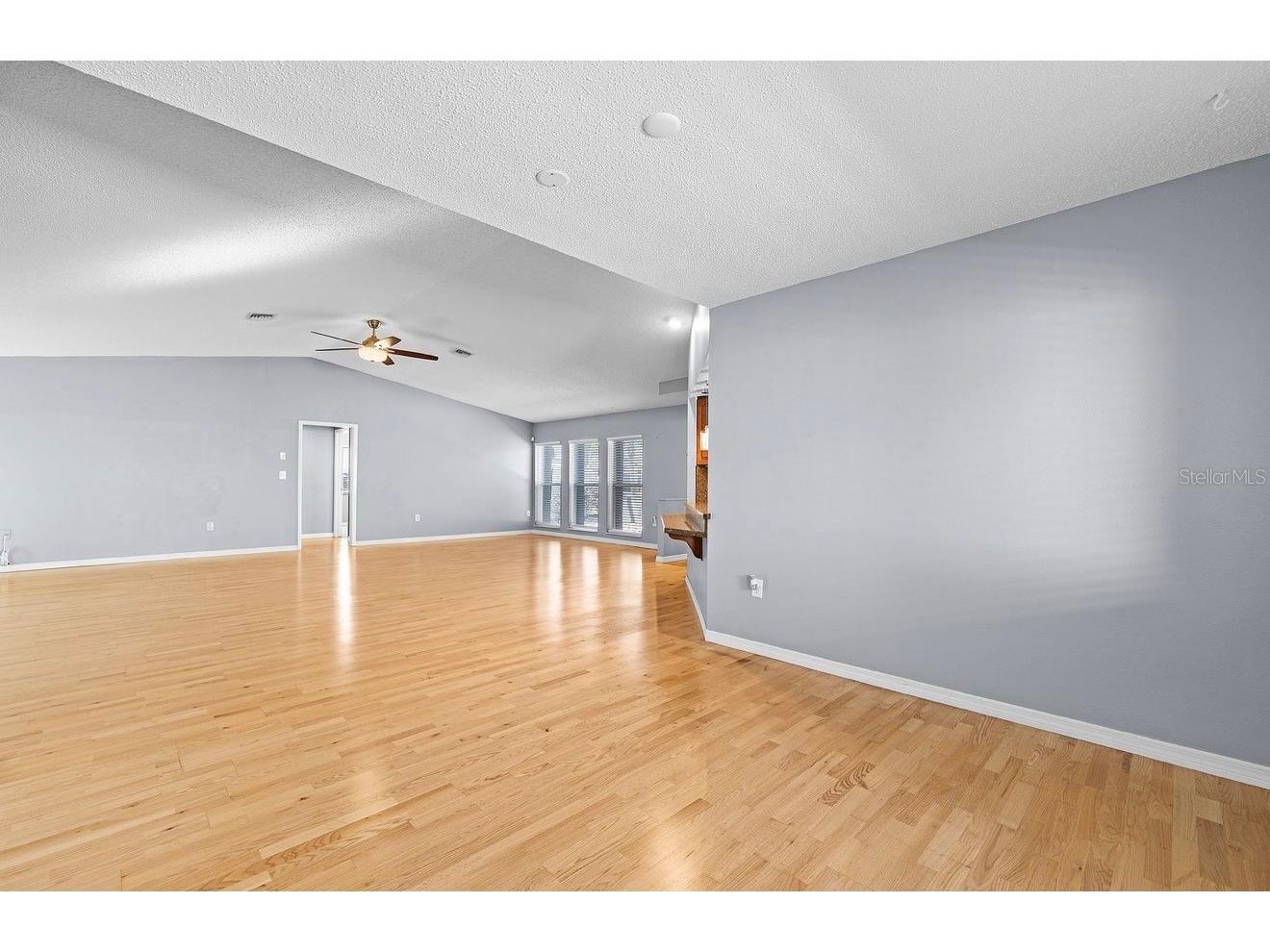 9407 Laura Anne Drive Seminole FL 33776 TB8468194 image12