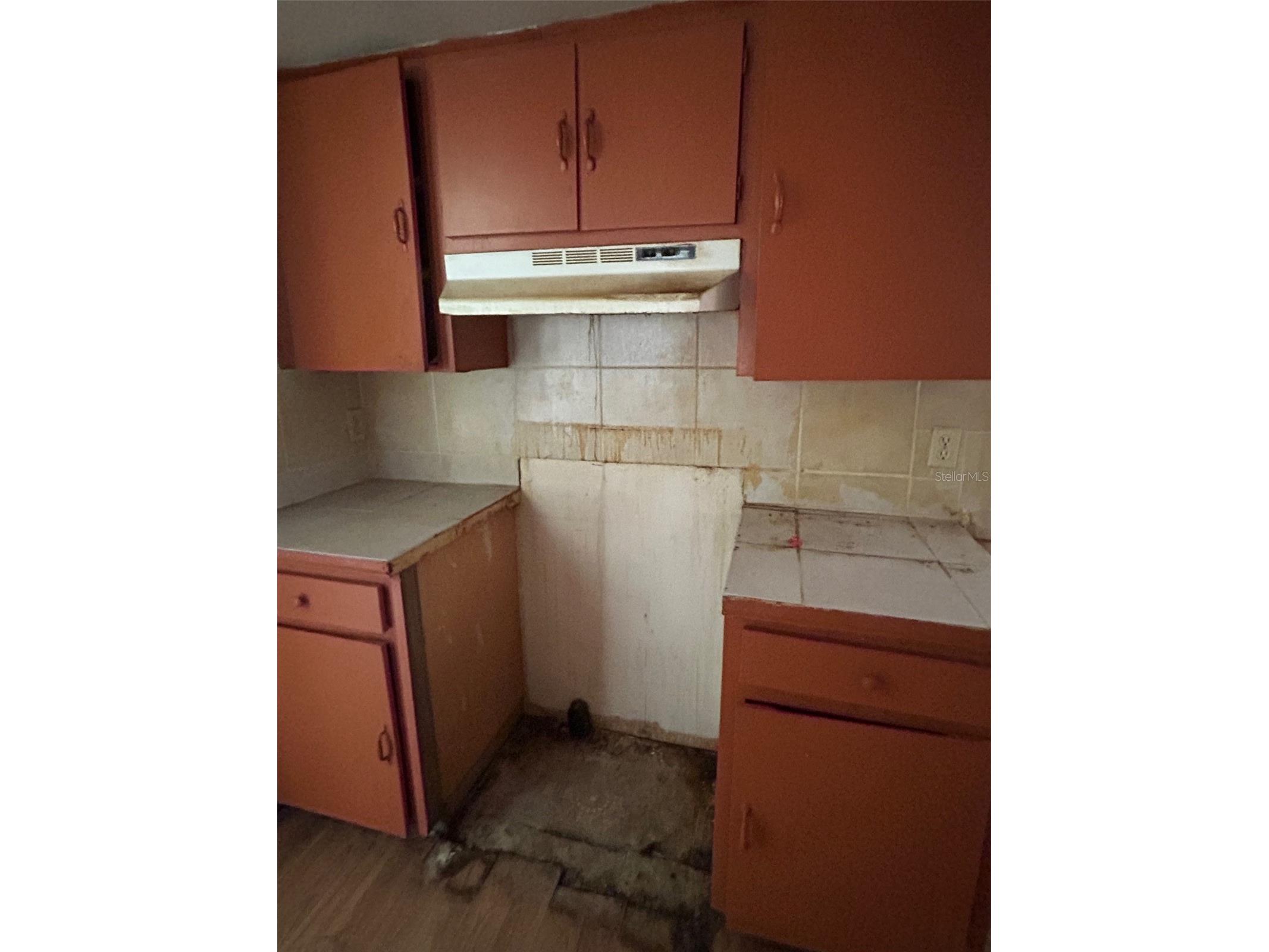 9408 Bethune Drive Thonotosassa FL 33592 TB8474025 image3