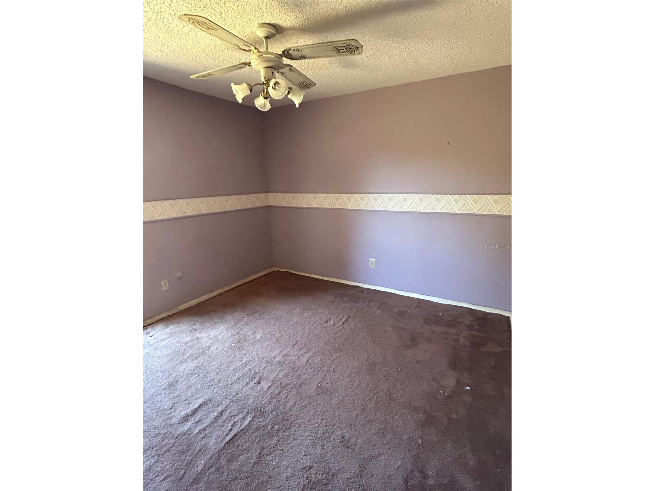 9408 Bethune Drive Thonotosassa FL 33592 TB8474025 image7