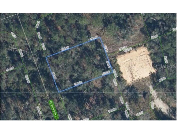 9408 Elder Berry Court Sebring FL 33875 P4938995 image1