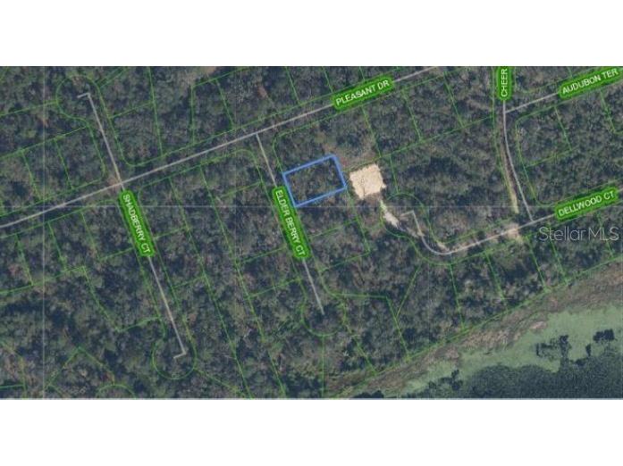 9408 Elder Berry Court Sebring FL 33875 P4938995 image7