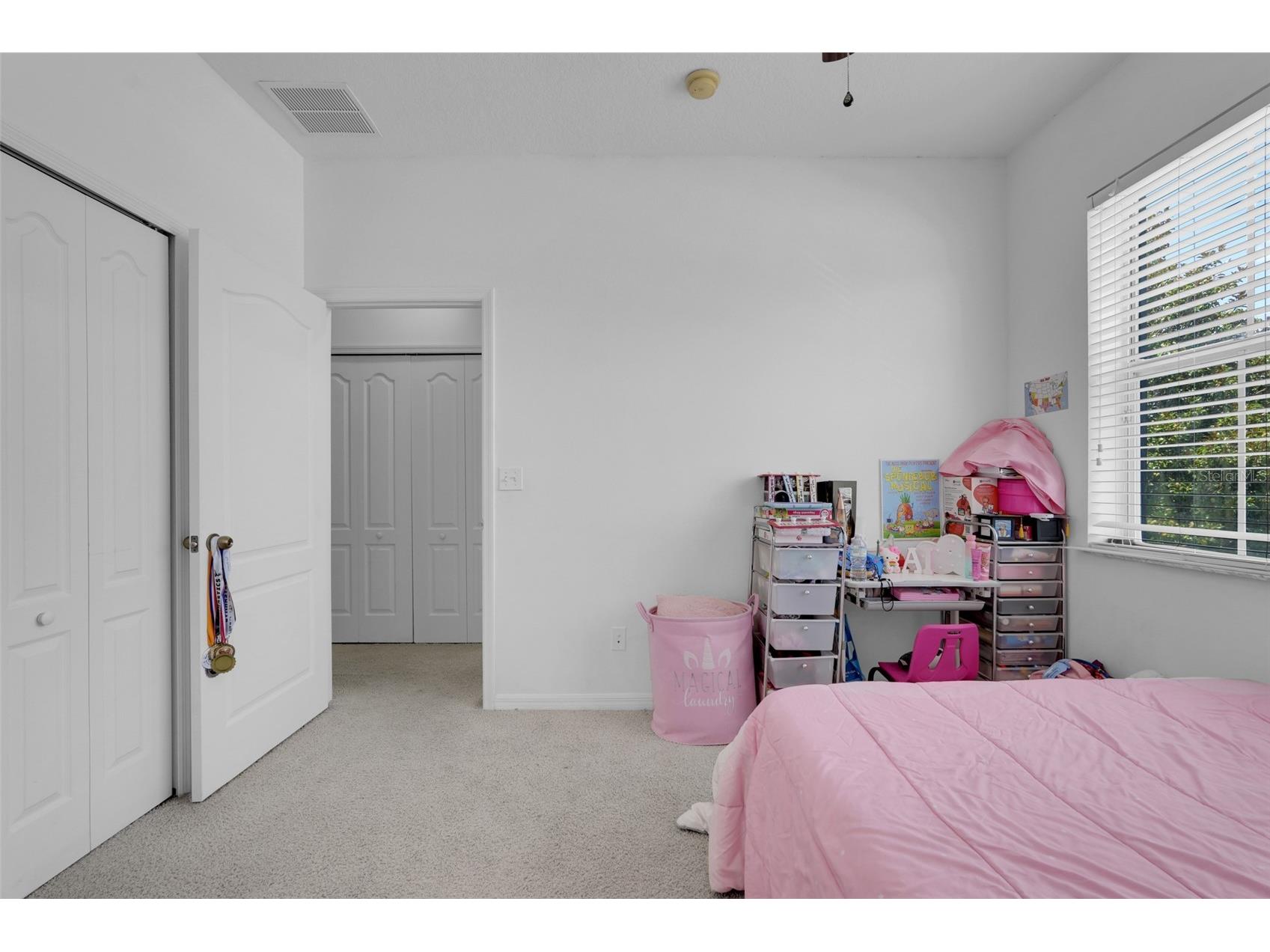 9408 Flowering Cottonwood Road Orlando FL 32832 S5154132 image26