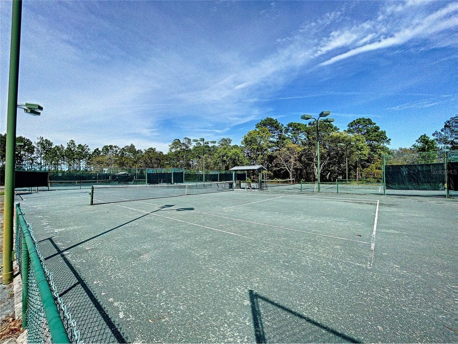 9408 New Orleans Drive Weeki Wachee FL 34613 TB8491195 image46
