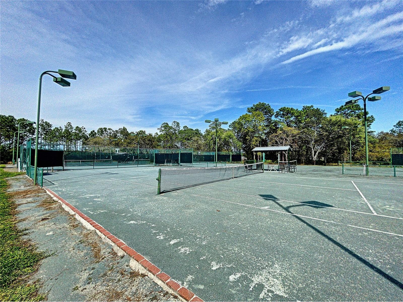 9408 New Orleans Drive Weeki Wachee FL 34613 TB8491195 image47