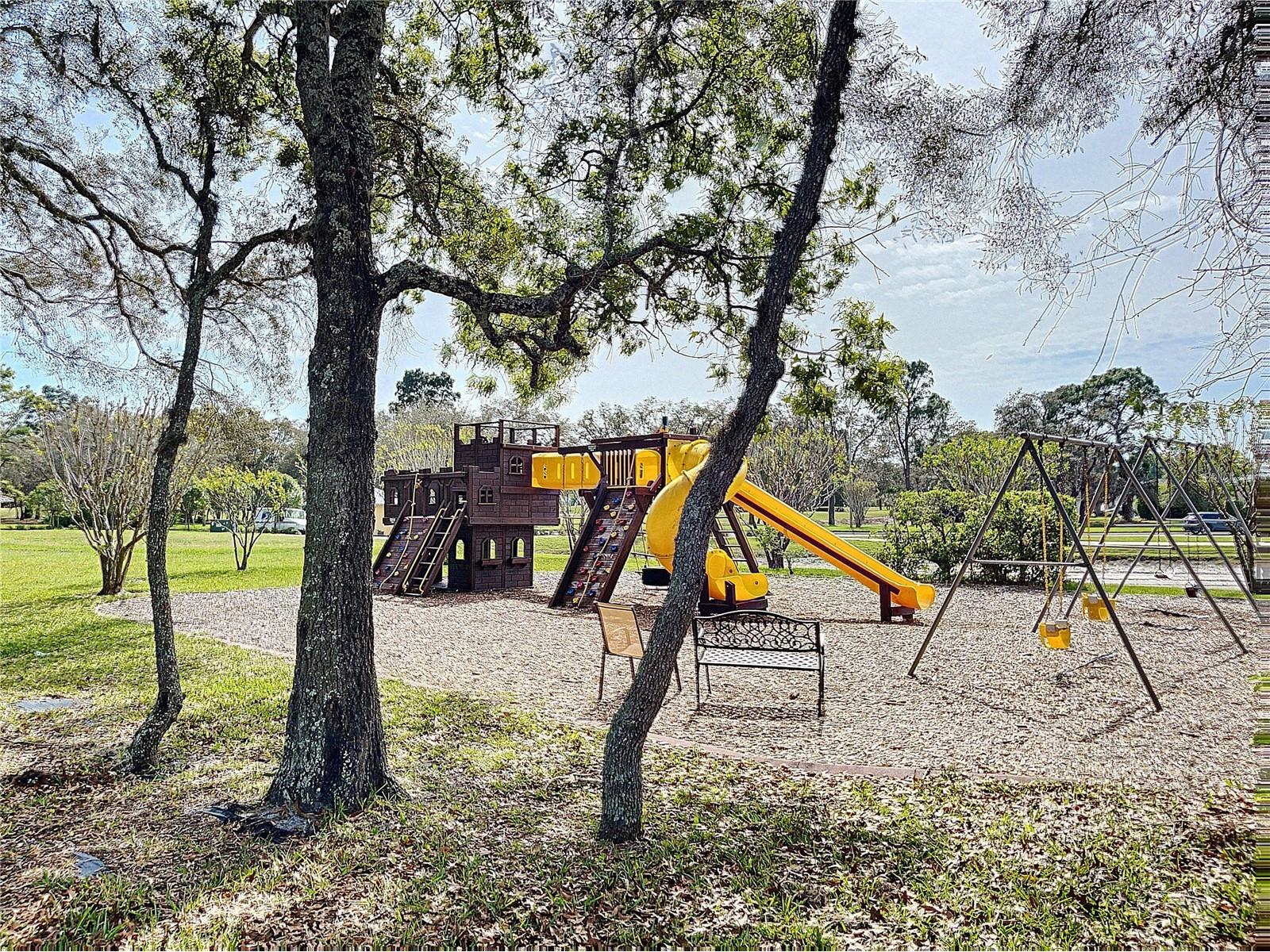 9408 New Orleans Drive Weeki Wachee FL 34613 TB8491195 image49