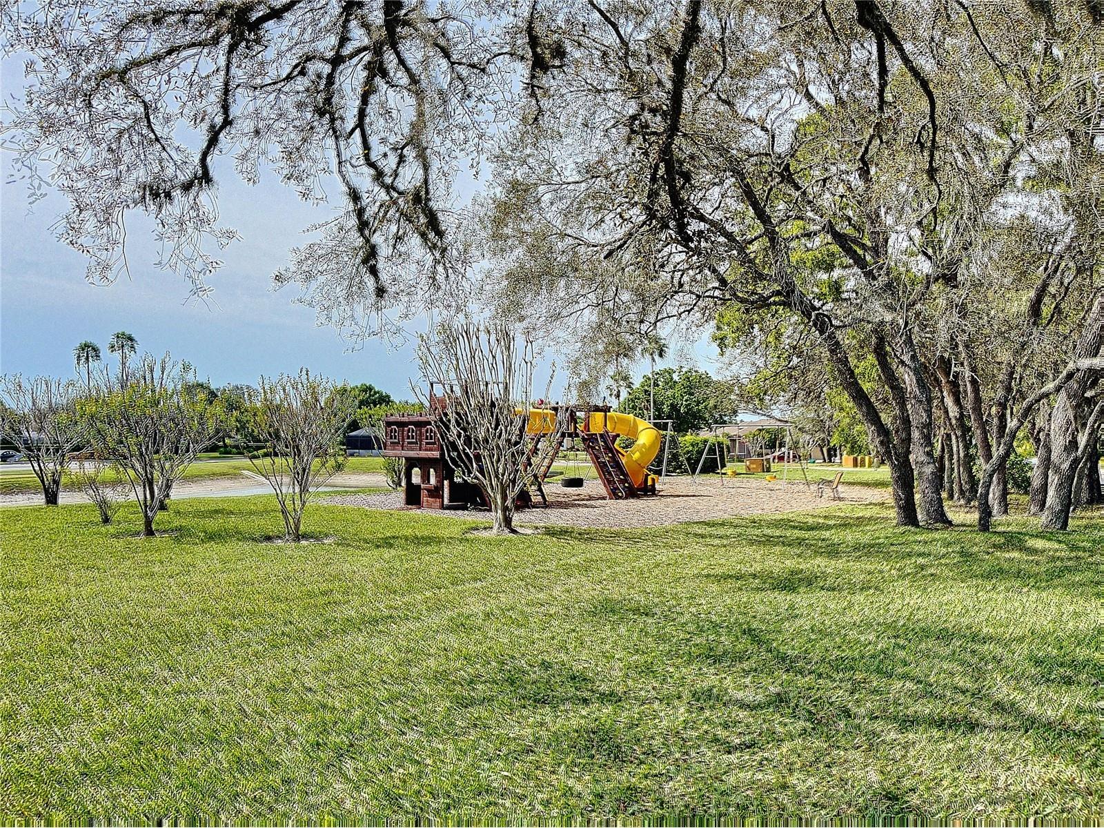 9408 New Orleans Drive Weeki Wachee FL 34613 TB8491195 image52