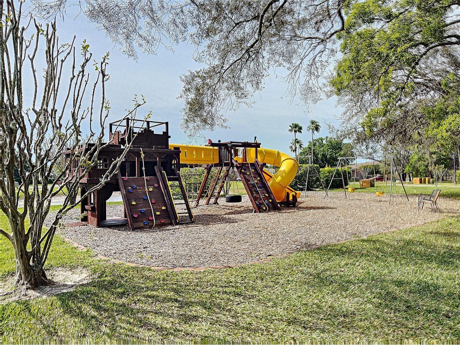 9408 New Orleans Drive Weeki Wachee FL 34613 TB8491195 image53