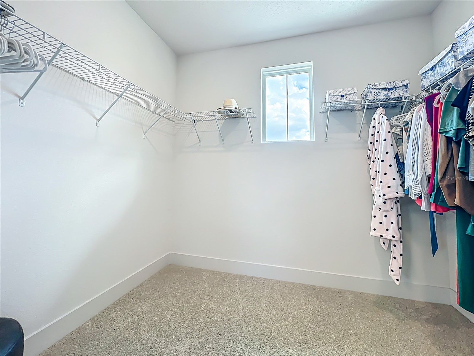 9409 Emerald Berry Drive Winter Garden FL 34787 S5144953 image38