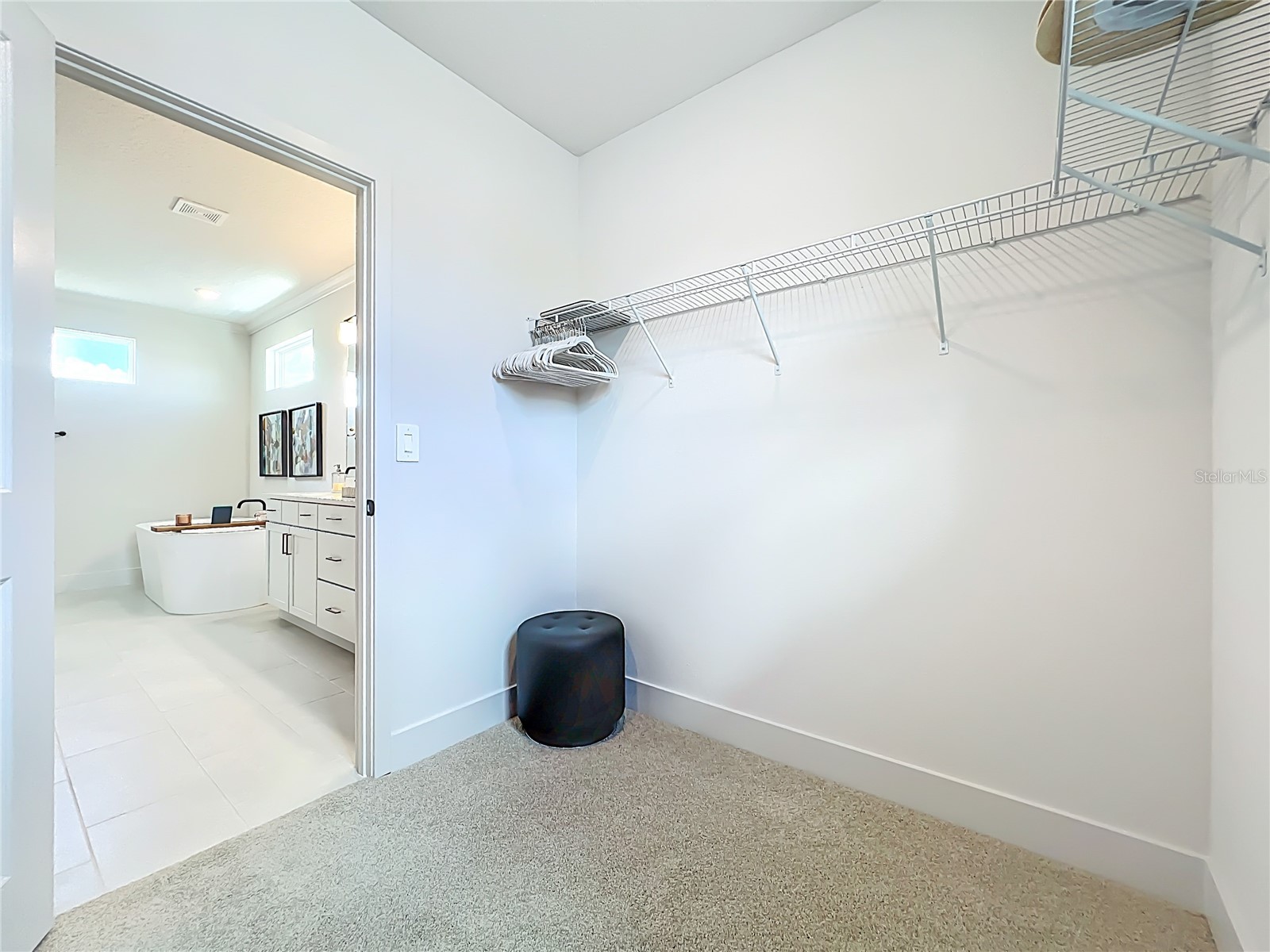 9409 Emerald Berry Drive Winter Garden FL 34787 S5144953 image39