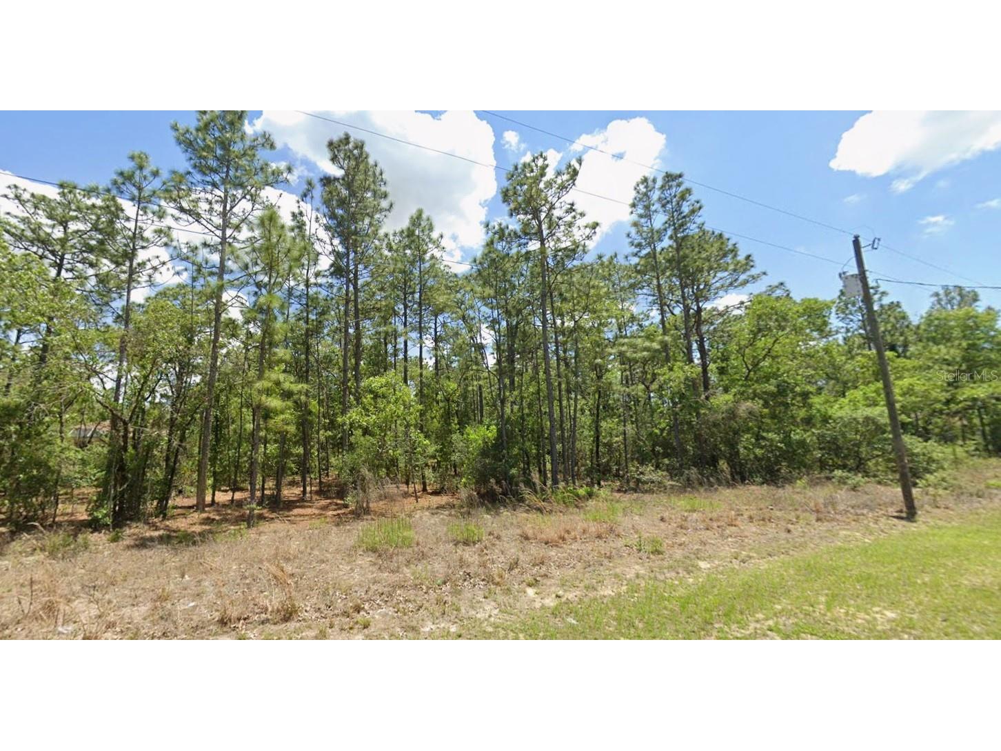 9409 N Fairy Lilly Drive Citrus Springs FL 34433 TB8466577 image1