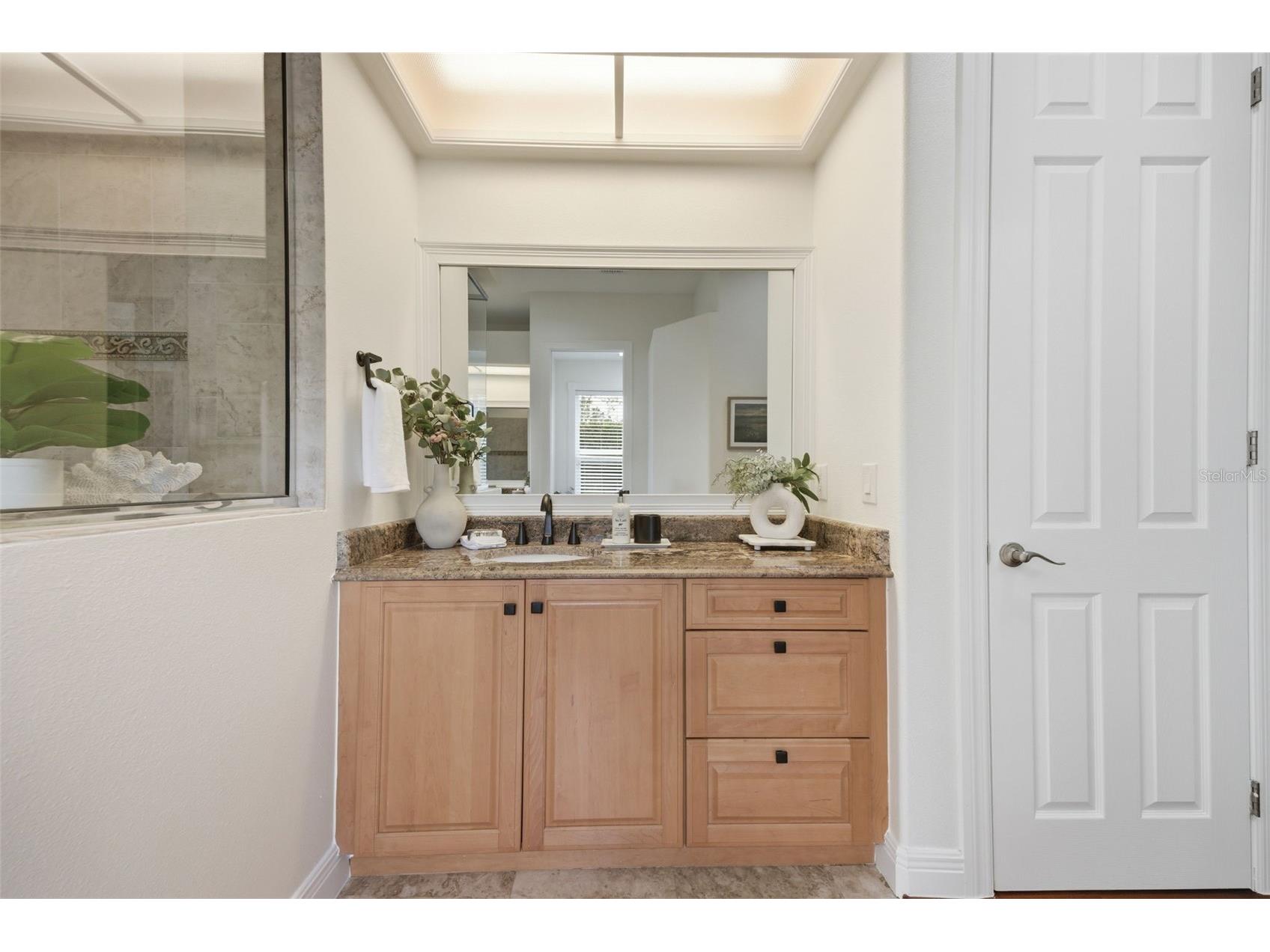 9409 Tree Tops Lake Road Tampa FL 33626 TB8510127 image34