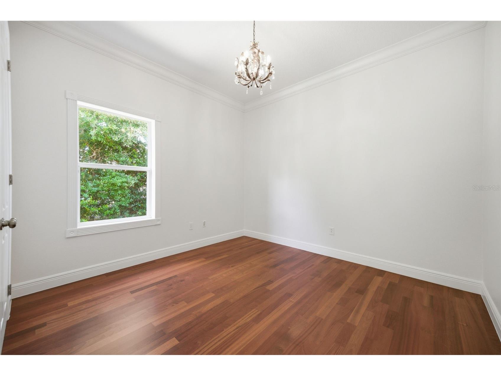 9409 Tree Tops Lake Road Tampa FL 33626 TB8510127 image44