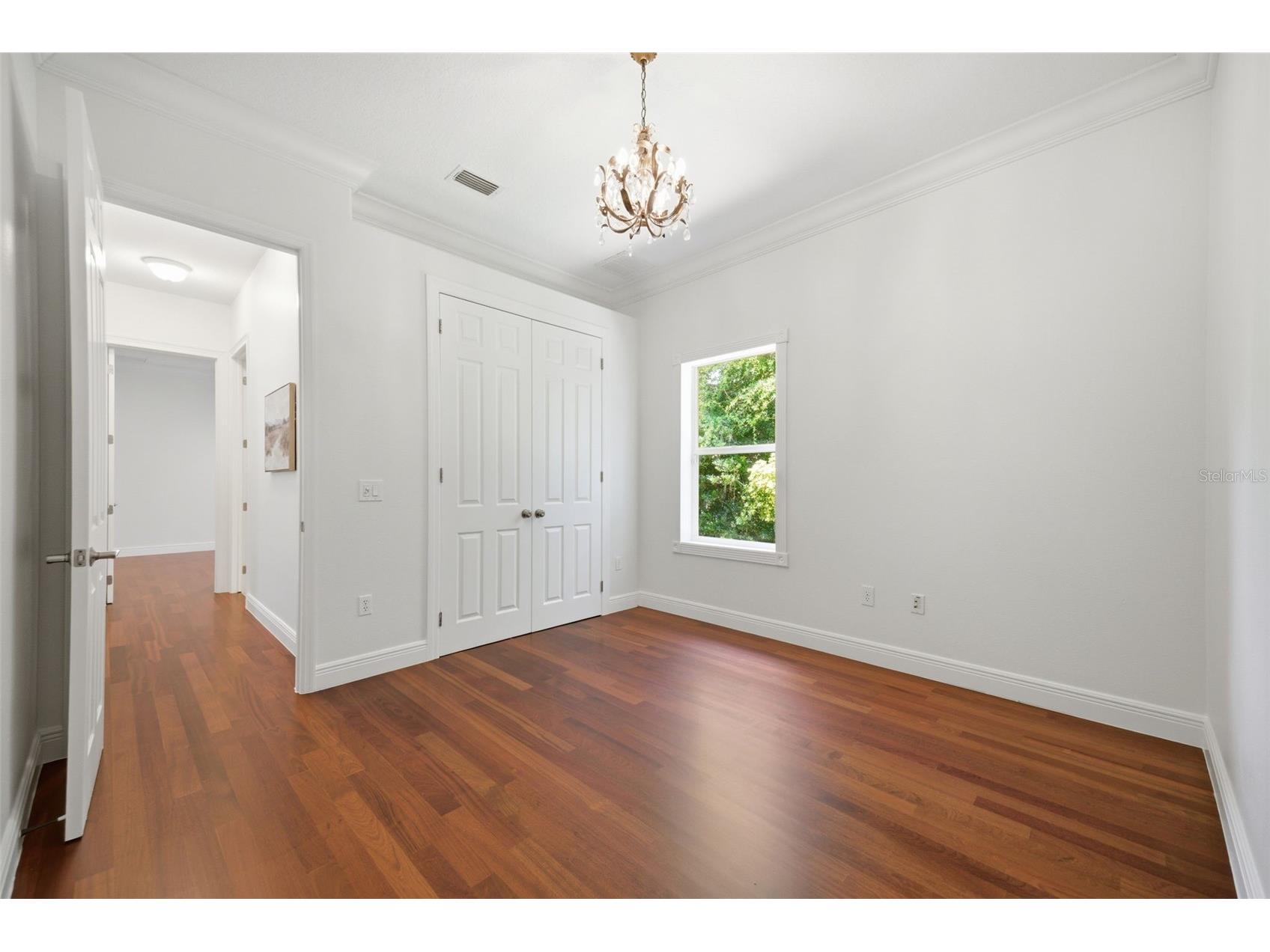 9409 Tree Tops Lake Road Tampa FL 33626 TB8510127 image45